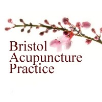 Bristol Acupuncture Practice 727696 Image 3